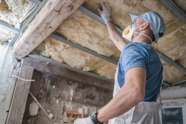 Best Spray Foam Insulation in Mount Carmel, IL