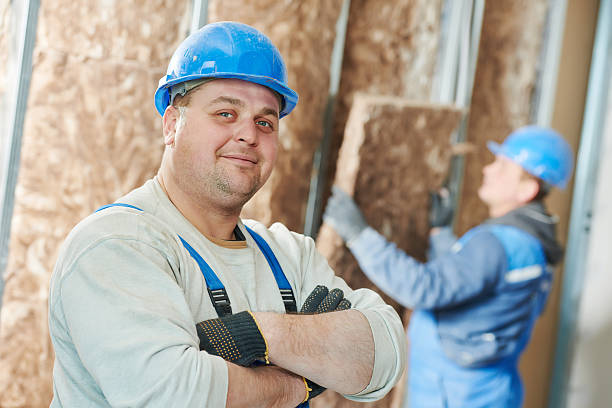 Best Specialized Insulation Services in Mount Carmel, IL