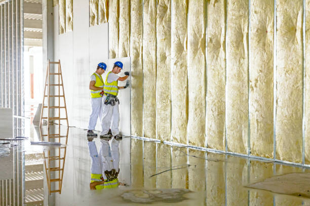 Best Blown-in Insulation in Mount Carmel, IL